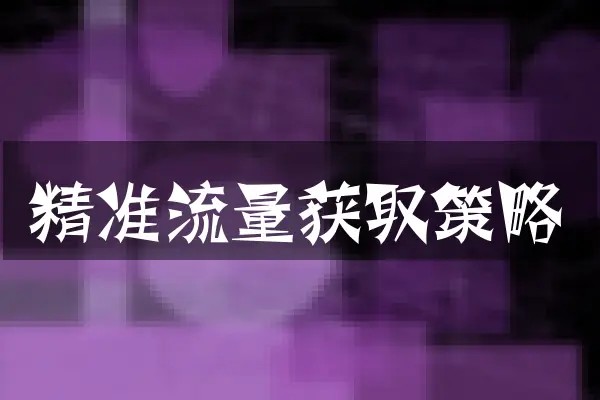 精准流量获取策略
