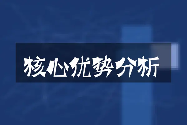 核心优势分析
