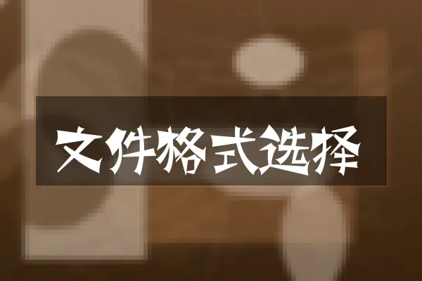 文件格式选择