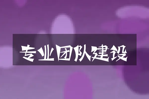 专业团队建设