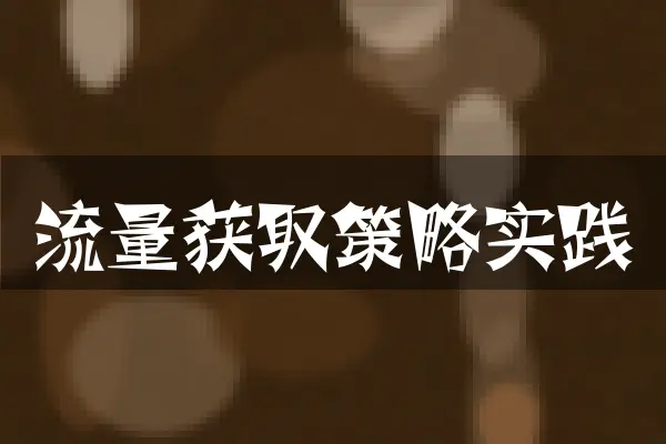 流量获取策略实践