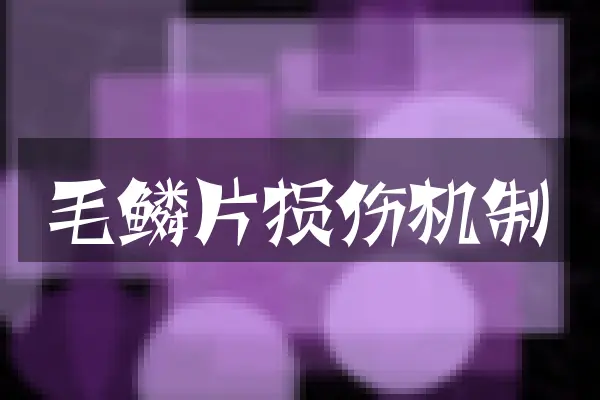 毛鳞片损伤机制